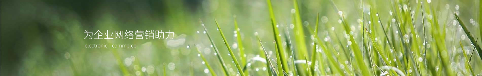 Ӻʵҵ޹˾